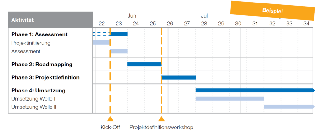 Zeitplan Service Maturity Assessment